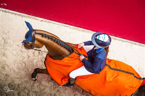 hermes horse show paris 2019|Saut Hermès 2019 .